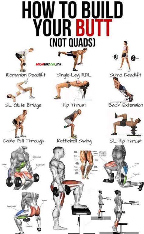 man ass muscle|The 22 Best Glutes Exercises to Build Your Butt .